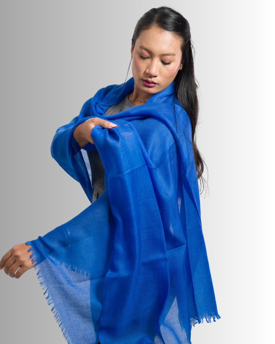 Royal Blue - Himalaya Pashmina