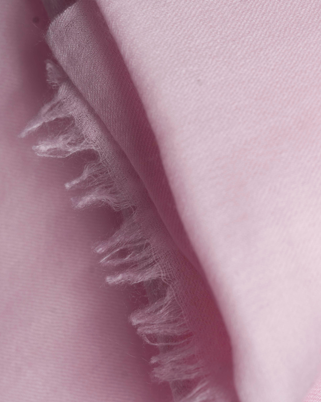 Baby Pink - Himalaya Pashmina