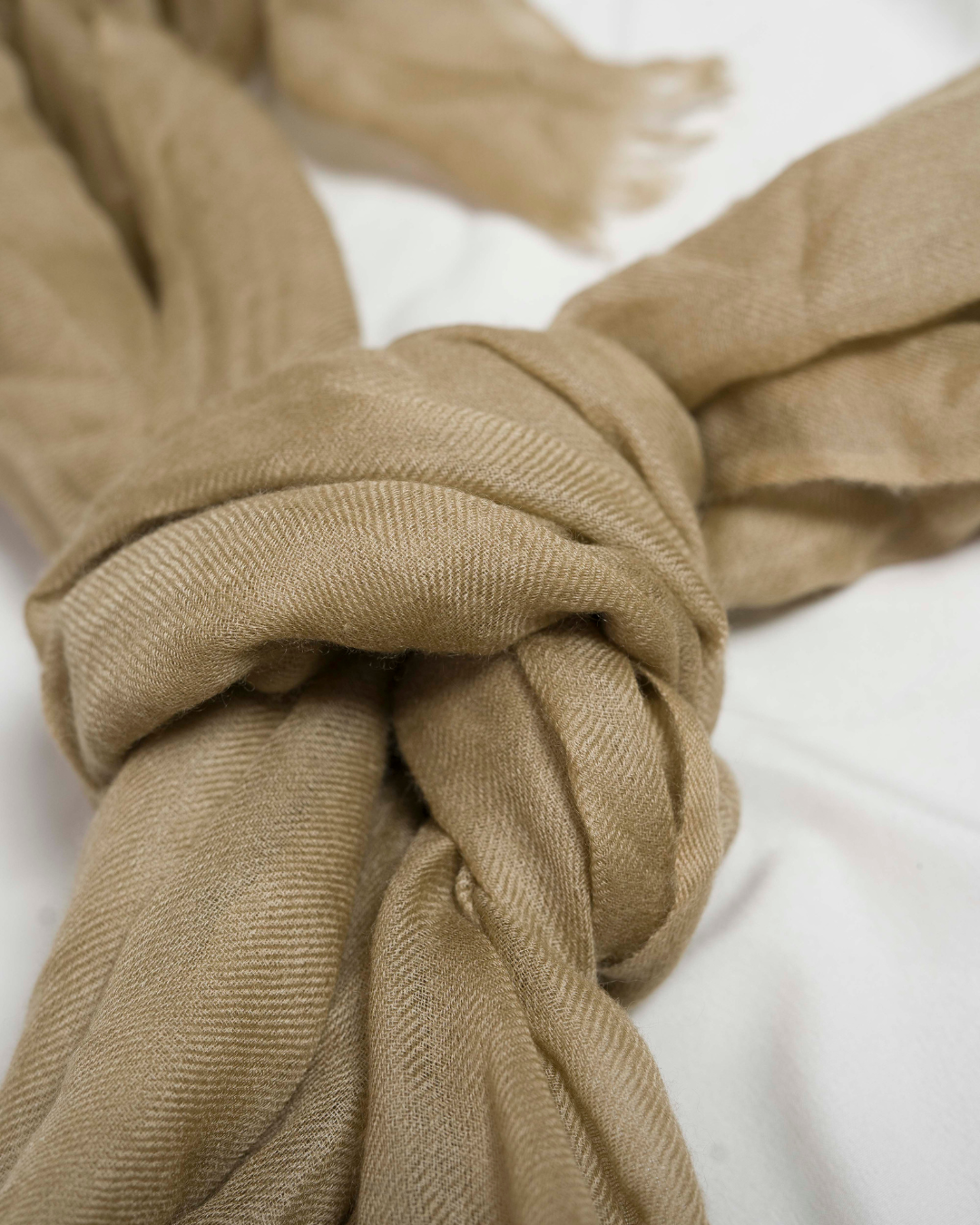 Himalya Olive - Himalaya Pashmina