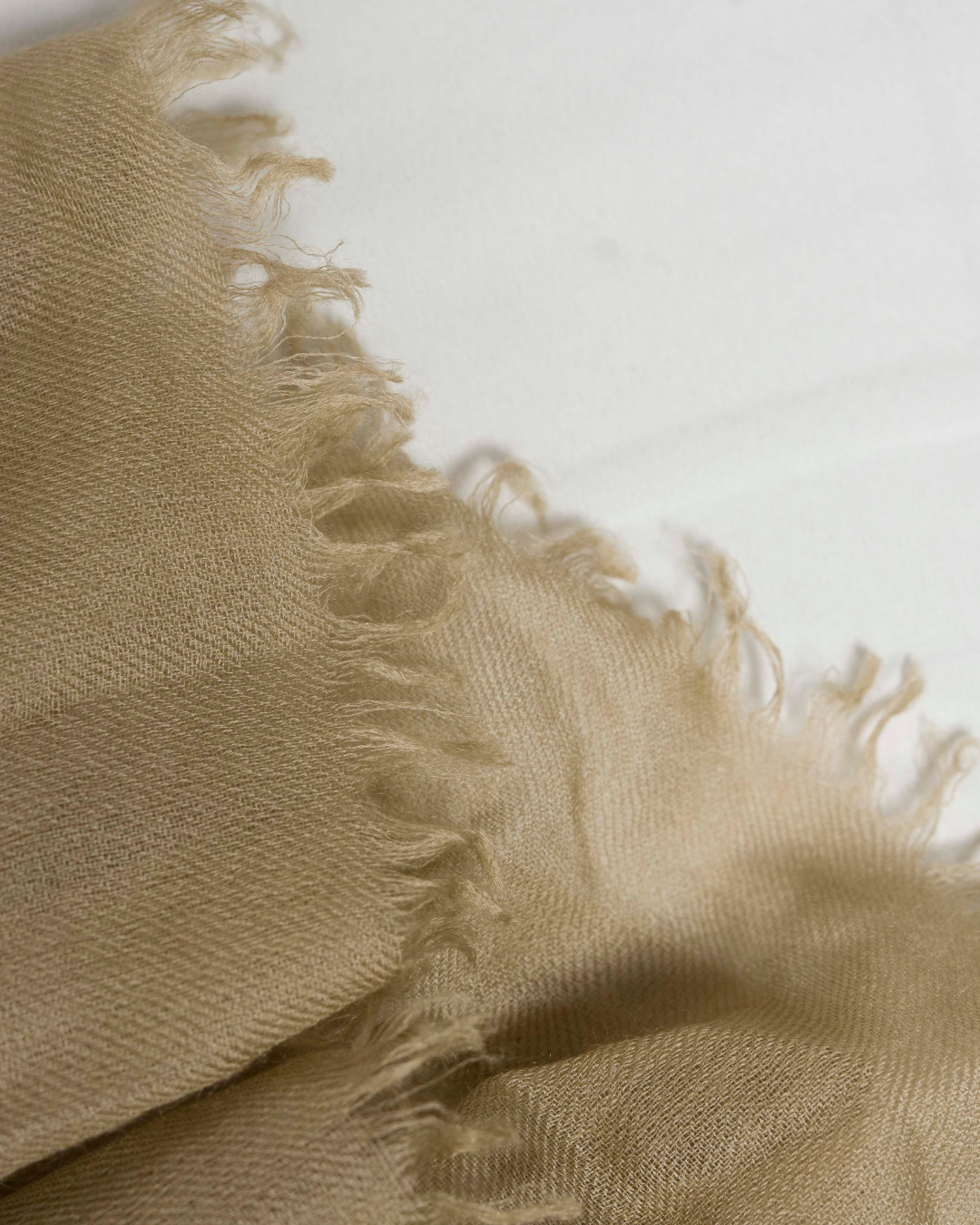 Himalya Olive - Himalaya Pashmina