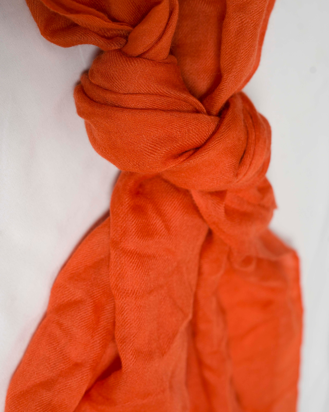 Tangerin - Himalaya Pashmina