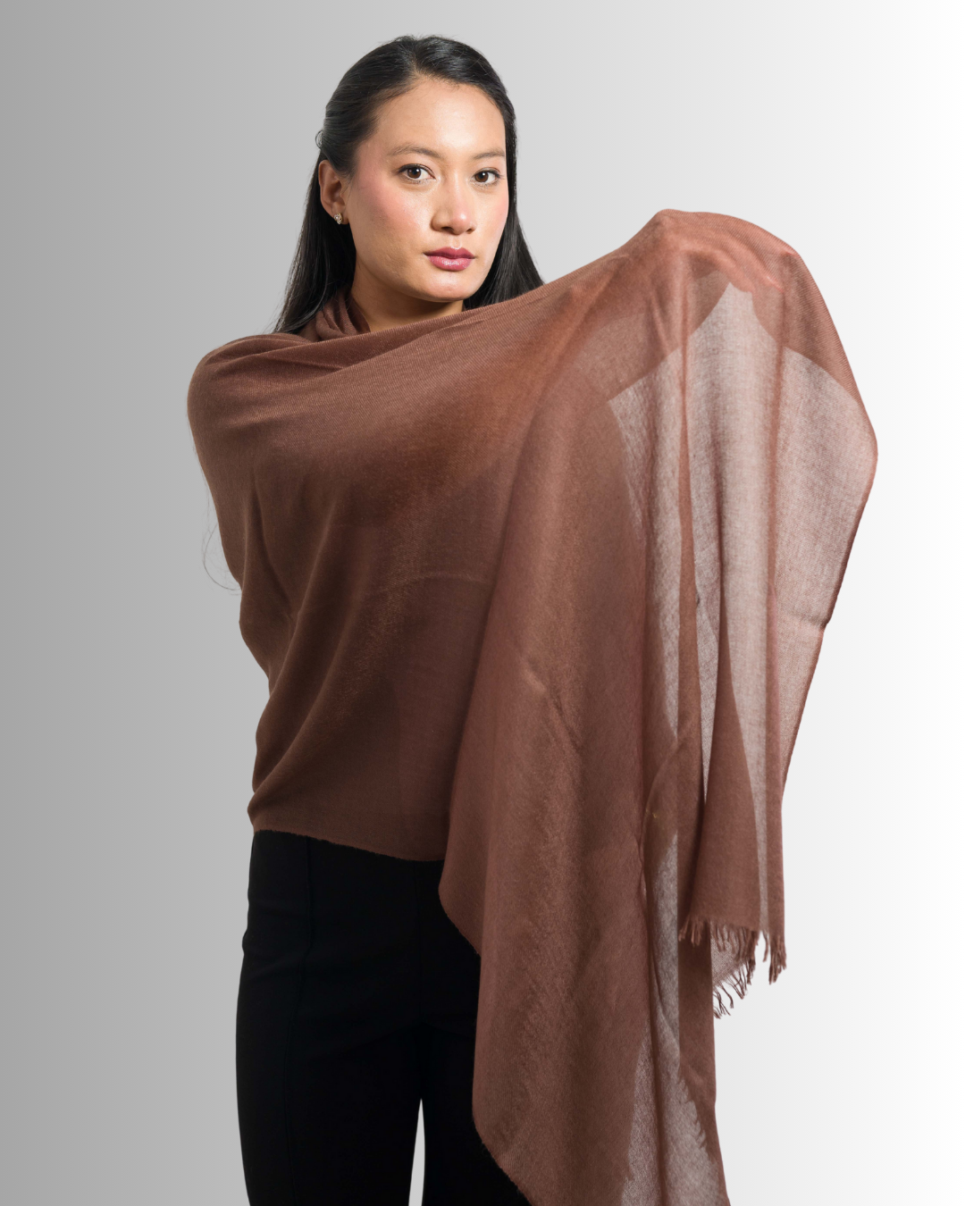 Brown - Himalaya Pashmina