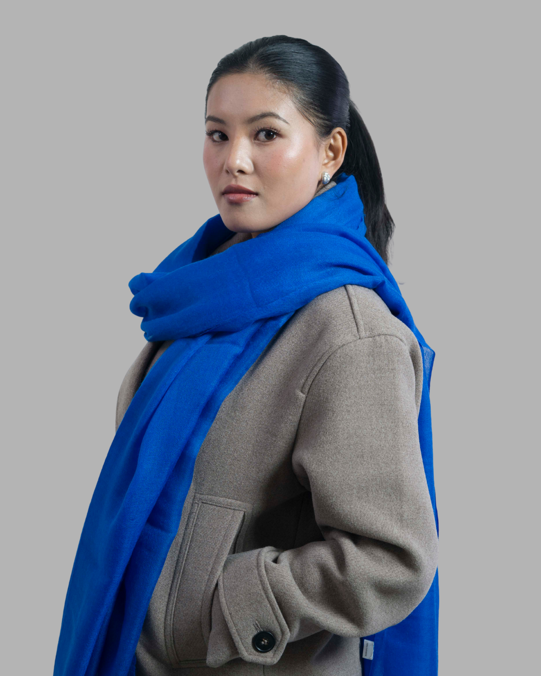 Royal Blue - Himalaya Pashmina