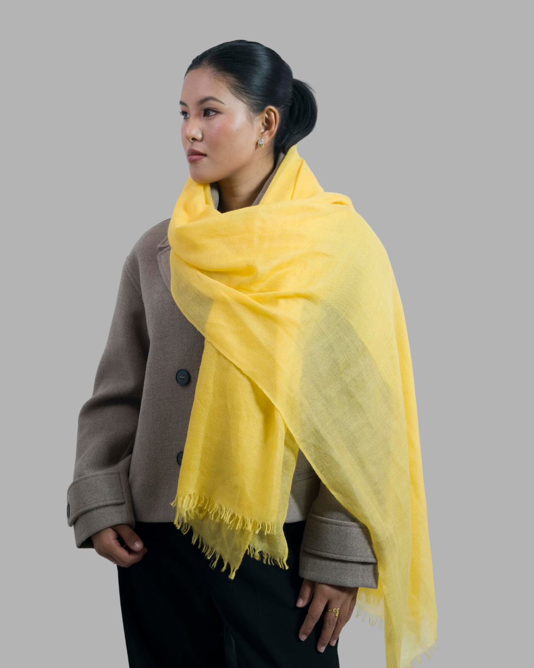 Yellow - Himalaya Pashmina