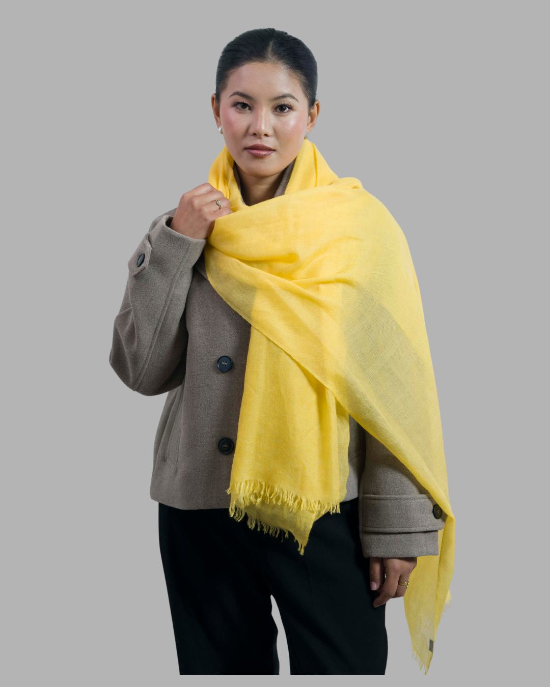 Yellow - Himalaya Pashmina